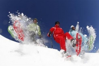  Raquetas de nieve y buen ambienle 